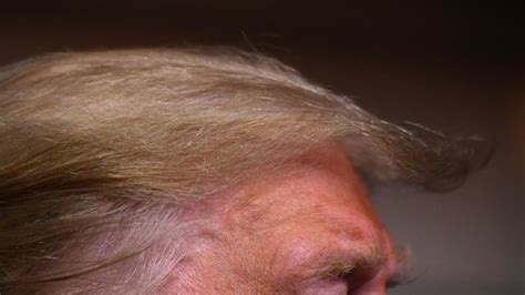 9 Hairstyles Donald Trump Should Try If He Wants To Be Taken Seriously Mashable