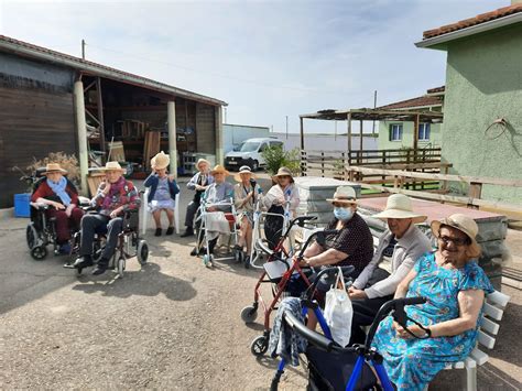 EXCURSIÓN AL INVERNADERO Fundacion San Mateo de Gallego