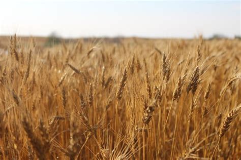 The Canadian Prairies, Captured on Camera | Our Canada