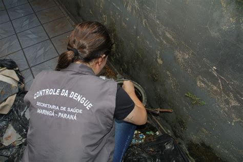 Cidade Tem Segunda Morte Por Dengue Maring Mais Informa O E