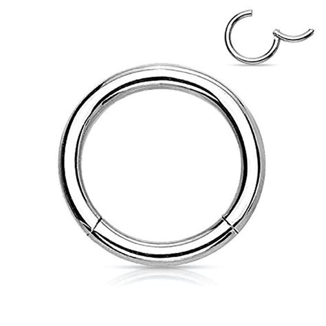 Surgical Steel Hinged Segment Ring G Bodymods Jewelry