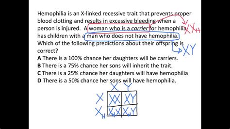 Sex Linked Traits And Punnet Squares Review 5 YouTube