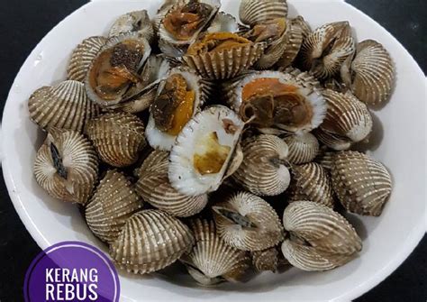 Resep Kerang Rebus Oleh Uthe Cookpad