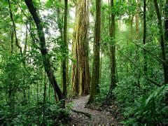 Monteverde Cloud Forest Guided Tour Entrance Transporation Camino