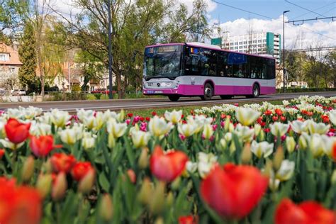 Programul de transport public în Cluj Napoca și în zona metropolitană