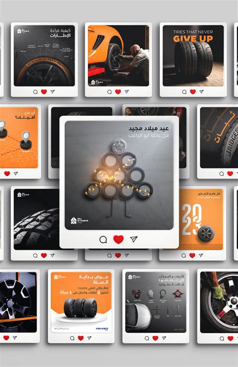 Professional Background and Profile of Mounir S Ragheb 11