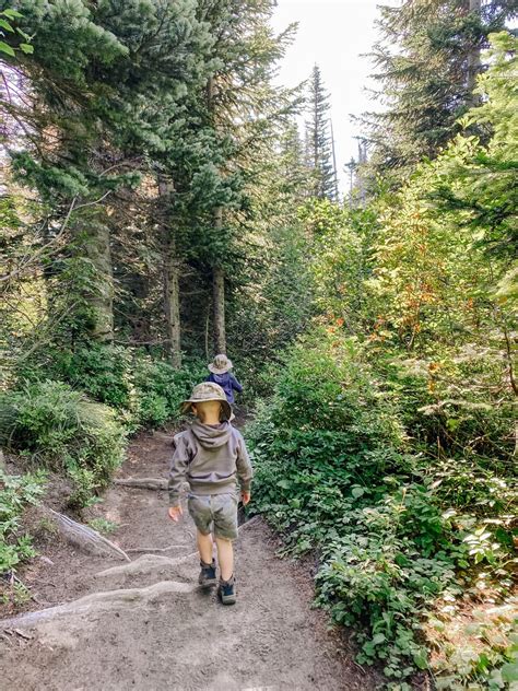 hiking snow lake trail near mt. rainier - Loving Life Moore