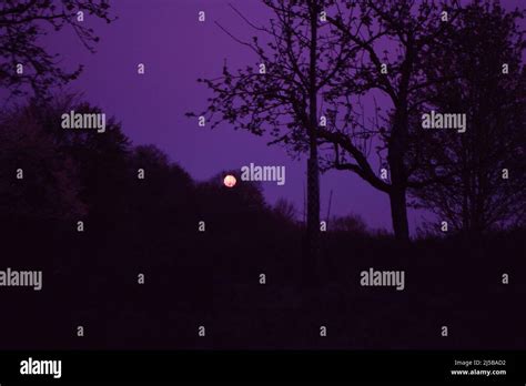 Silhouette of a landscape with trees at full moon Stock Photo - Alamy