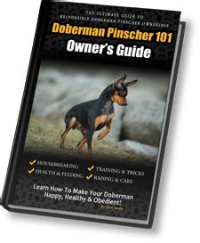 Doberman Pinscher 101: Owner's Guide