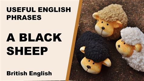 Useful English Phrases A BLACK SHEEP YouTube