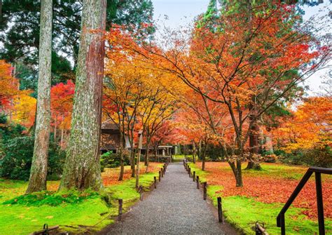 The Ultimate Guide to Autumn in Japan: Everything You Need to Know ...