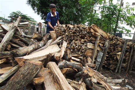 Penjualan Kayu Bakar Menurun Antara Foto