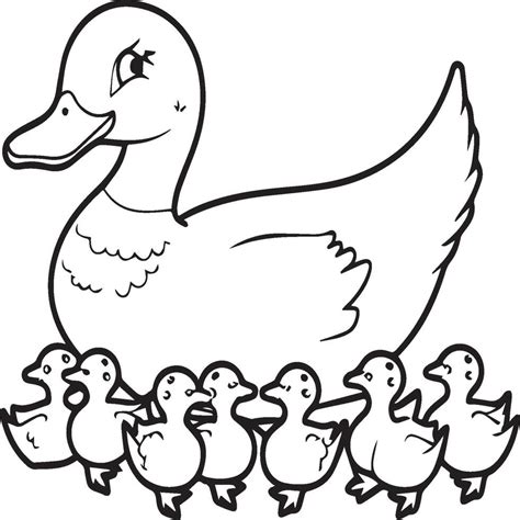 Duck coloring pages. Duck outline vector for coloring book 41926111 Vector Art at Vecteezy