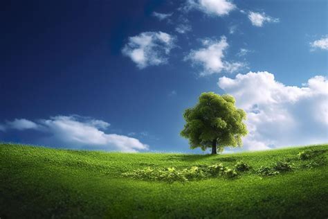 environment wallpaper stock  images  backgrounds