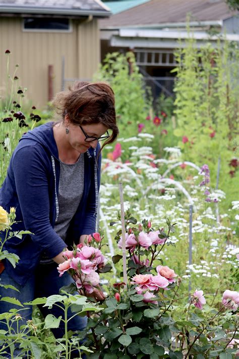 craigslist skagit county farm and garden 7