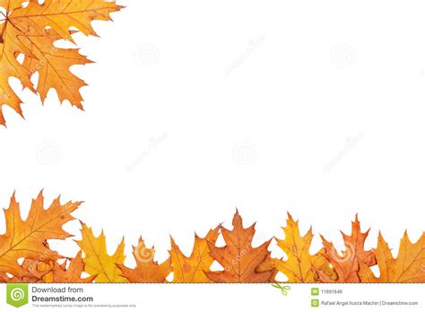 14+ Free Fall Leaves Clip Art - Preview : Free Fall Autumn | HDClipartAll