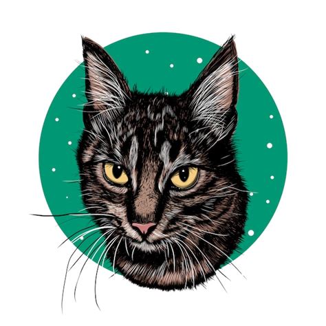 Premium Vector | Realistic sketch cat. realistic sketch flower.