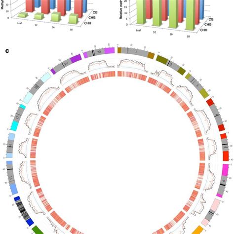 Genome Wide Features Of Dna Methylation And Transcriptome Of Soybean