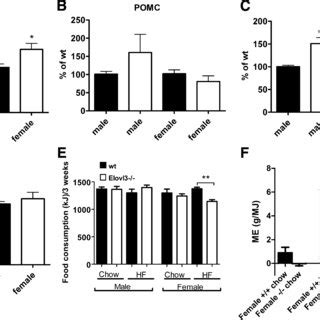 Food intake and hypothalamic expression of orexigenic and anorexigenic... | Download Scientific ...