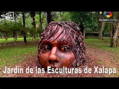 Jardín De Las Esculturas en Xalapa YouTube