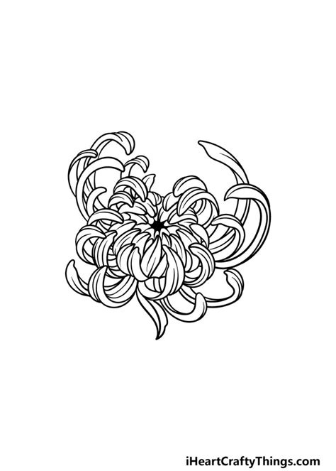 Chrysanthemum Drawing - How To Draw A Chrysanthemum Step By Step