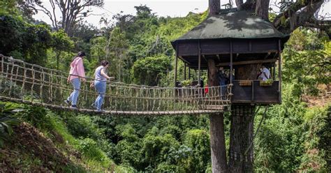 La Casita Del Arbol Colonia Tovar Aragua