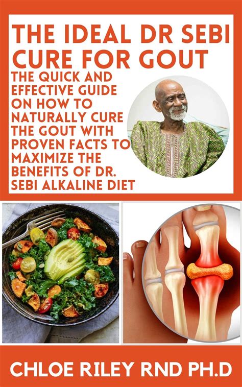 The Ideal Dr Sebi Cure For Gout The Quick And Effective Guide On How