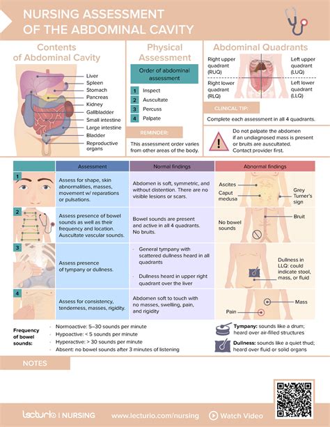 Nursing Cs Nursing Assessment Of The Abdominal Cavity 03 Lecturio