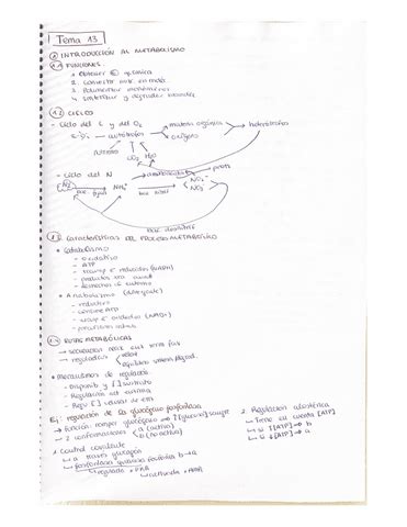 RESUMENES BIOQUÍMICA segundo cuatri pdf