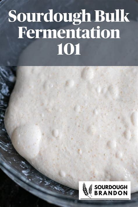 Sourdough Bulk Fermentation Sourdough Starter Discard Recipe