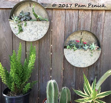 New Galvanized Wall Planters Hold Succulent Cuttings Digging