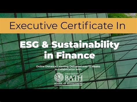 Zishi Executive Certificate In Esg Sustainability In Finance Youtube