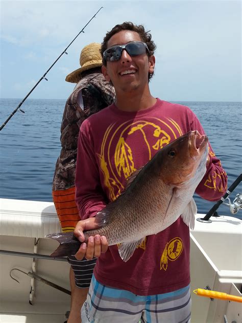 Mangrove snapper – Gulf of Mexico Fishery Management Council