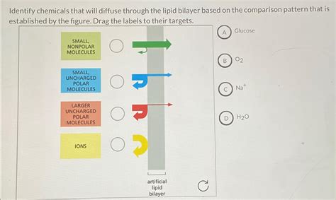 Solved Identify chemicals that will diffuse through the | Chegg.com 