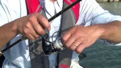 What Is Drag On A Fishing Reel And Why Does It Matter All Fishing Gear