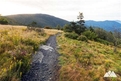 Roan Mountain hiking: Roan Highlands and Appalachian Trail ...