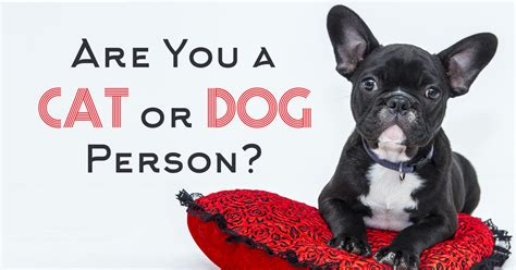 Are You A Cat Or Dog Person? - Quiz