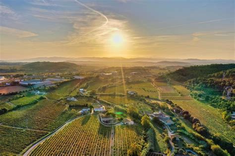 Premium Photo | Aerial view of the penedes vineyards in barcelona