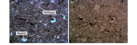 Photomicrograph Showing The Presence Of Quartz And Feldspar Mineral Download Scientific Diagram