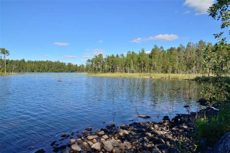 Karelian Landscape Rocks Pine Trees And Water Bay Chupa White Sea