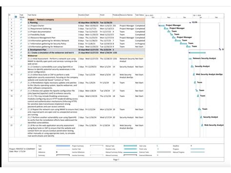 Gantt charts, project plan, project management tasks in ms project, excel | Upwork