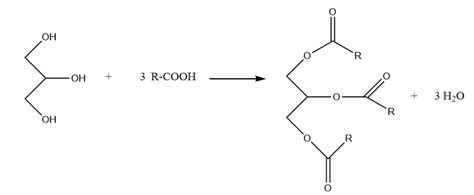 Equation For The Esterification Of Glycerol And Three Ethano Quizlet