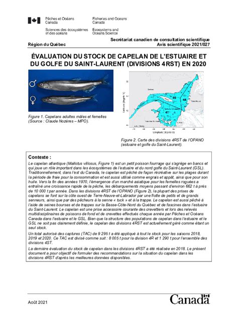 Remplissable En Ligne Waves Vagues Dfo Mpo Gc Valuation Du Stock De