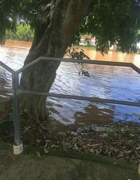 Rio Muriaé em Itaperuna atinge cota de alerta após fortes chuvas