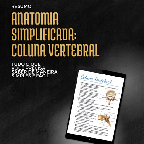 Anatomia Humana Simplificada Coluna Vertebral Felipe Schulz Hotmart