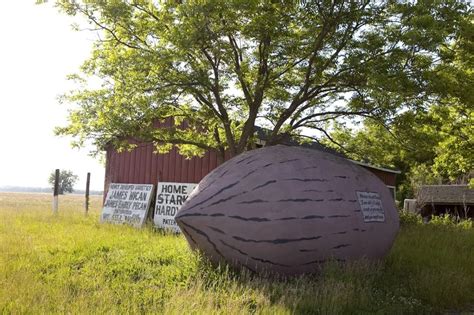 Worlds Largest Pecan In Brunswick Missouri Silly America