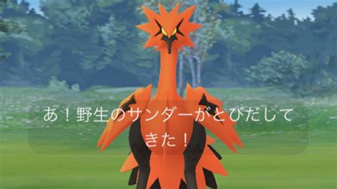 【ポケモンgo】ガラルサンダーの使い道･評価は おすすめ技と基本情報まとめ かくとうandひこうという非常に珍しいタイプ構成 Appbank