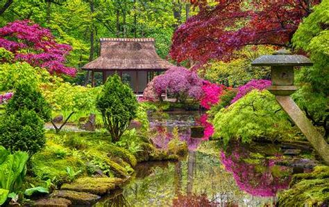 Incroyable Paysage De Jardin Japonais Pays Bas Puzzles En Ligne