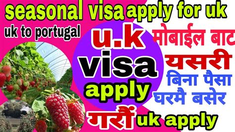 Hou To Apply Uk Seasonal Working Visa II Uk Visa Update II Uk Visa II