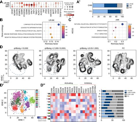 Single Cell Landscape Of Functionally Cured Chronic Hepatitis B